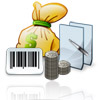 Financial Accounting Software(Enterprise Edition)